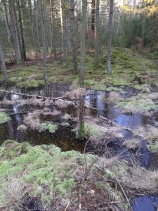 IMG_20160106_124545.jpg