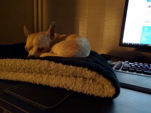 IMG_20160109_200153.jpg