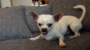 20130818_125233_14.jpg