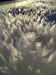 IMG_20160119_122105.jpg