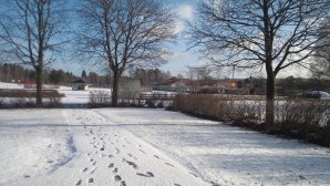 IMG_20160131_130752.jpg
