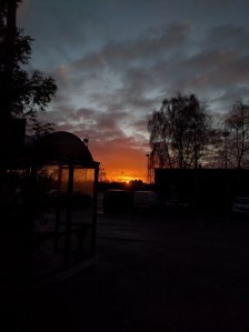 IMG_20160129_081810.jpg