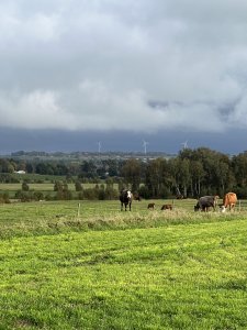 C444AC19-3302-4AE0-A57E-5350D6A69978.jpeg