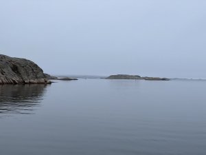 6BD137DB-FEF9-4F50-ACA1-A71F0840E306.jpeg