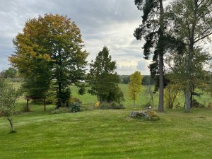 IMG_0774.jpeg