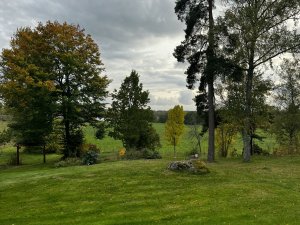IMG_0775.jpeg