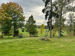 IMG_0776.jpeg