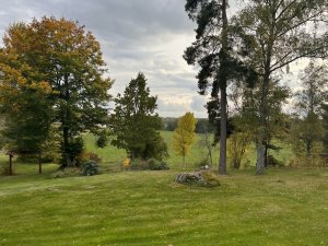IMG_0777.jpeg