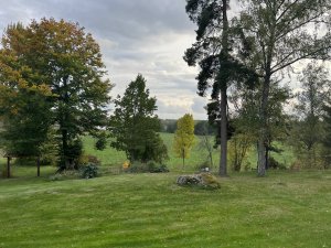 IMG_0778.jpeg