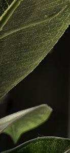 B04A79EC-DB5C-4809-8B0F-A770D8C80CB0.png