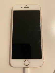 IMG_3355.jpeg