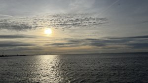 A4FA9728-DBB9-43F2-8E08-0E112B9B8970.jpeg