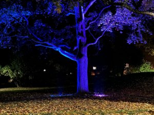 IMG_1181.jpeg
