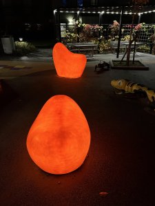 IMG_1189.jpeg