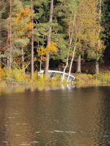 IMG_20211005_101911.jpg