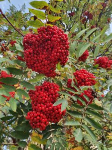 20210927_145507.jpg