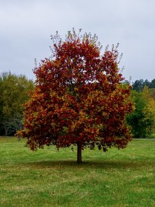 33751C65-A147-42AF-9988-D37A8798ED46.jpeg