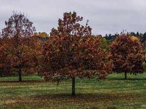 EDB407A9-5941-4B83-9279-EC060316DF8D.jpeg
