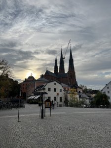 11F4A814-C372-4864-B163-5A7EBC557D56.jpeg