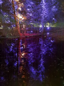 IMG_20211011_194334.jpg