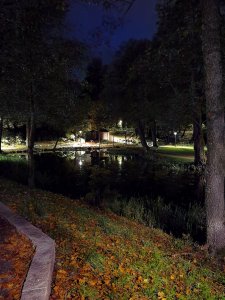 IMG_20211011_194608.jpg