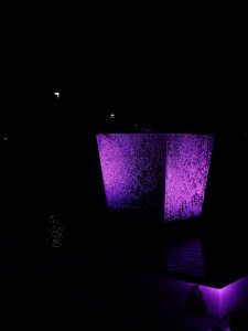 IMG_20211011_200256.jpg