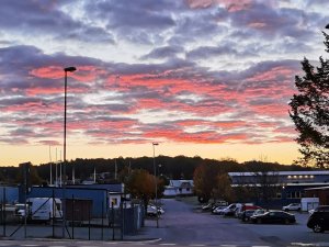 IMG_20211013_073523.jpg