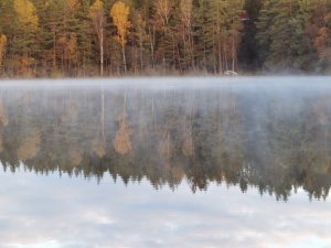 IMG_20211013_082034.jpg