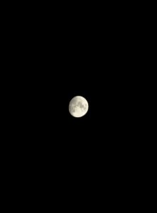 35DCEDCC-84F1-4872-AC48-B960FFBB1838.jpeg