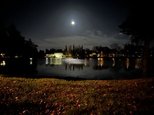 6C0298A5-B5EC-418E-976B-12AF1B6209B0.jpeg