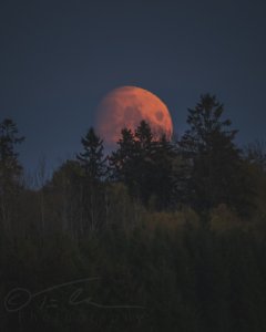 20211016_1747525759-1.jpg
