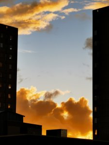 IMG_20211021_172029.jpg