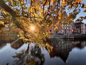 A39C6D2D-D249-4DAA-97C2-F82438AB23DF.jpeg