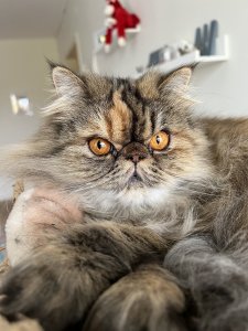 C92531D2-7A6F-45E4-9C68-47522A3D5D79.jpeg