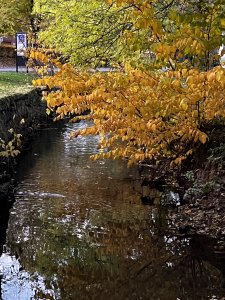60E776B1-40DF-4094-8DD2-FCEA26C462B7.jpeg