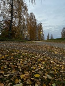 8EC61029-B875-40F8-B3AD-FAE2F6F67E8A.jpeg