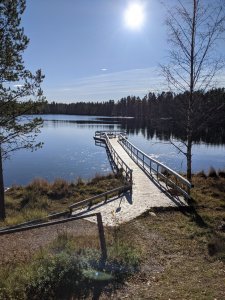 PXL_20211016_105220988.jpg