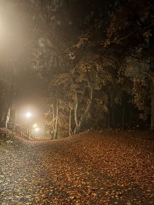 IMG_2920~2.jpg