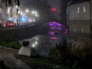 PXL_20211031_012540745.NIGHT~2.jpg