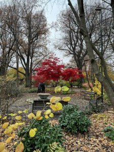 IMG_2906~2.jpg