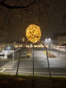 IMG_2918.jpg