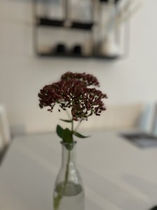 iPhone porträtt.jpg