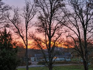 IMG_20211101_072346.jpg