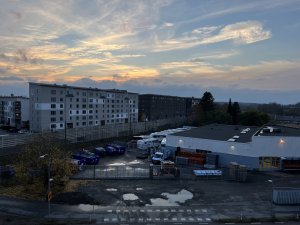 IMG_2941.jpeg