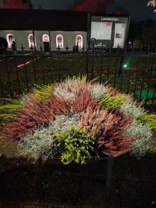 IMG_20211103_185842.jpg