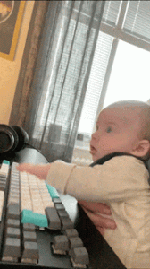 ACC1E72A-357D-4642-87DC-61D1B0A14D19.gif