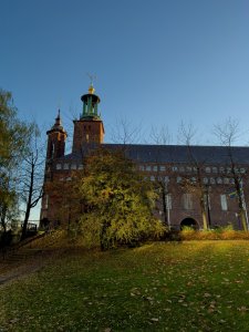 IMG_3003.jpg