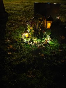 IMG_20211106_181043.jpg