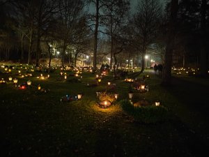 IMG_20211106_184311.jpg