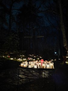 IMG_20211106_185919.jpg